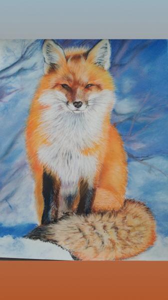 un renard dans la neige  - Pastel   24 X 30