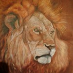 le vieux lion  -  peinture acrylique  50 cm X 50 cm