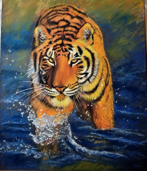 tigre dans l'eau   -  pastel   24 X 30