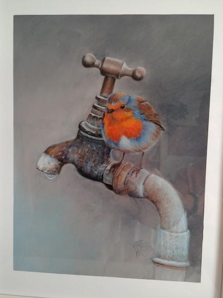 rouge gorge sur une canalisation d'eau  - Pastel 24 X 30  offert